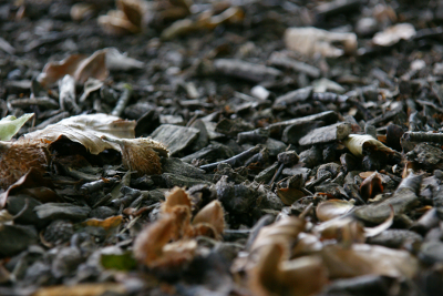 Autumn 2, par Xavier E. G. Dierick